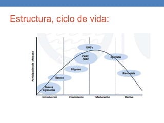 Estructura, ciclo de vida:
 