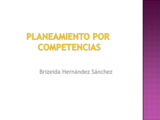 Brizeida Hernández Sánchez 
