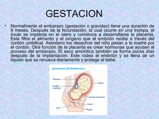 GESTACION Normalmente el embarazo (gestación o gravidez) tiene una duración de 9 meses. Después de la fecundación, la cual ocurre en una trompa, el óvulo se implanta en el útero y comienza a desarrollarse la placenta. Esta filtra el alimento y el oxígeno que el embrión recibe a través del cordón umbilical. Asimismo los desechos del niño pasan a la madre por el cordón. Otra función de la placenta es crear hormonas que ayudan al proceso del embarazo. El saco amniótico también se forma pocos días después de la implantación. Este rodea al embrión y se llena de un líquido que se renueva diariamente y protege al bebé. 