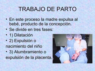 TRABAJO DE PARTO En este proceso la madre expulsa al bebé, producto de la concepción. Se divide en tres fases: 1) Dilatación 2) Expulsión o  nacimiento del niño 3) Alumbramiento o  expulsión de la placenta. 