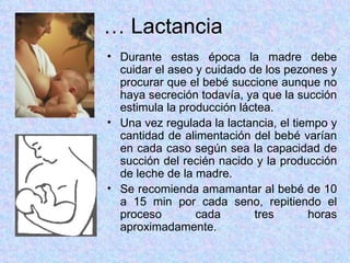 …  Lactancia Durante estas época la madre debe cuidar el aseo y cuidado de los pezones y procurar que el bebé succione aunque no haya secreción todavía, ya que la succión estimula la producción láctea. Una vez regulada la lactancia, el tiempo y cantidad de alimentación del bebé varían en cada caso según sea la capacidad de succión del recién nacido y la producción de leche de la madre. Se recomienda amamantar al bebé de 10 a 15 min por cada seno, repitiendo el proceso cada tres horas aproximadamente. 