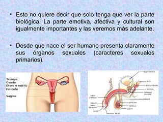 Esto no quiere decir que solo tenga que ver la parte biológica. La parte emotiva, afectiva y cultural son igualmente importantes y las veremos más adelante. Desde que nace el ser humano presenta claramente sus órganos sexuales (caracteres sexuales primarios). 