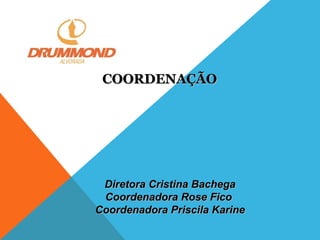 COORDENAÇÃO

Diretora Cristina Bachega
Coordenadora Rose Fico
Coordenadora Priscila Karine

 