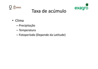 Taxa de acúmulo
• Clima
  – Precipitação
  – Temperatura
  – Fotoperíodo (Depende da Latitude)
 