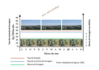 Taxa de acúmulo de forragem




                                                                                                  Massa de Forragem ton MS/ha
                                                                                              4
                                                                                              3
                                                                                              2
                                                                                              1
                                                                                              0




                              Taxa de lotação
                              Taxa de acúmulo de forragem
                                                            Fonte: Adaptado de Aguiar, 2001
                              Massa de forragem
 
