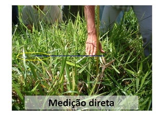 Medição direta
 