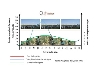 Taxa de acúmulo de forragem




                                                                                                  Massa de Forragem ton MS/ha
                                                                                              4
                                                                                              3
                                                                                              2
                                                                                              1
                                                                                              0




                              Taxa de lotação
                              Taxa de acúmulo de forragem
                                                            Fonte: Adaptado de Aguiar, 2001
                              Massa de forragem
 