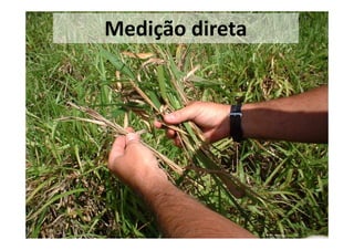 Medição direta
 
