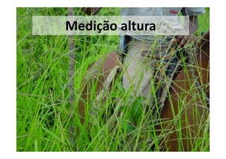 Medição altura
 
