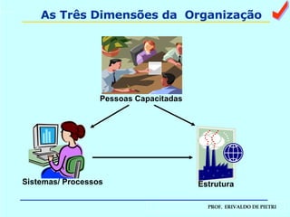 As Três Dimensões da  Organização Pessoas Capacitadas Sistemas/ Processos Estrutura   a 