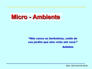 Micro - Ambiente  “ Não casse as borboletas, cuide de seu jardim que elas virão até você. ” Anônimo 