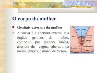 O corpo da mulher Genitais externas da mulher        A  vulva  é a abertura externa dos órgãos genitais da mulher, composta por grandes lábios, abertura da  vagina, abertura da uretra, clitóris, e monte de Vênus. 
