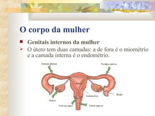 O corpo da mulher Genitais internos da mulher        O útero tem duas camadas: a de fora é o miométrio e a camada interna é o endométrio. 