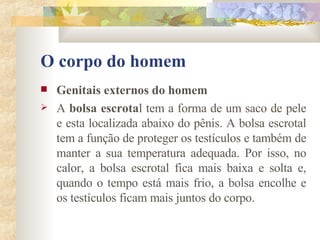 O corpo do homem Genitais externos do homem       A  bolsa escrota l tem a forma de um saco de pele e esta localizada abaixo do pênis. A bolsa escrotal tem a função de proteger os testículos e também de manter a sua temperatura adequada. Por isso, no calor, a bolsa escrotal fica mais baixa e solta e, quando o tempo está mais frio, a bolsa encolhe e os testículos ficam mais juntos do corpo. 