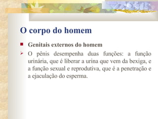O corpo do homem Genitais externos do homem       O pênis desempenha duas funções: a função urinária, que é liberar a urina que vem da bexiga, e a função sexual e reprodutiva, que é a penetração e a ejaculação do esperma.  