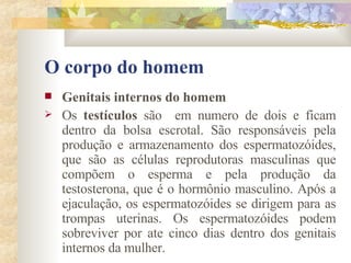 O corpo do homem Genitais internos do homem       Os  testículos  são  em numero de dois e ficam dentro da bolsa escrotal. São responsáveis pela produção e armazenamento dos espermatozóides, que são as células reprodutoras masculinas que compõem o esperma e pela produção da testosterona, que é o hormônio masculino. Após a ejaculação, os espermatozóides se dirigem para as trompas uterinas. Os espermatozóides podem sobreviver por ate cinco dias dentro dos genitais internos da mulher. 