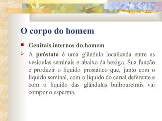 O corpo do homem Genitais internos do homem       A  próstata  é uma glândula localizada entre as vesículas seminais e abaixo da bexiga. Sua função é produzir o liquido prostático que, junto com o liquido seminal, com o liquido do canal deferente e com o liquido das glândulas bulbouretrais vai compor o esperma. 