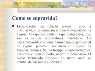 Como se engravida? Fecundação : na relação sexual , após a ejaculação, o esperma masculino é depositado na vagina. O esperma contem espermatozóides, que são as células reprodutoras masculinas. Os espermatozóides movimentam-se rápido pelo canal da vagina, penetram no útero e dirige-se às trompas uterinas. Se, na trompa, o espermatozóide encontra-se com o óvulo, ocorre a fecundação. O óvulo fecundado dirige-se ao útero, onde se aninha, dando inicio à gravidez. 
