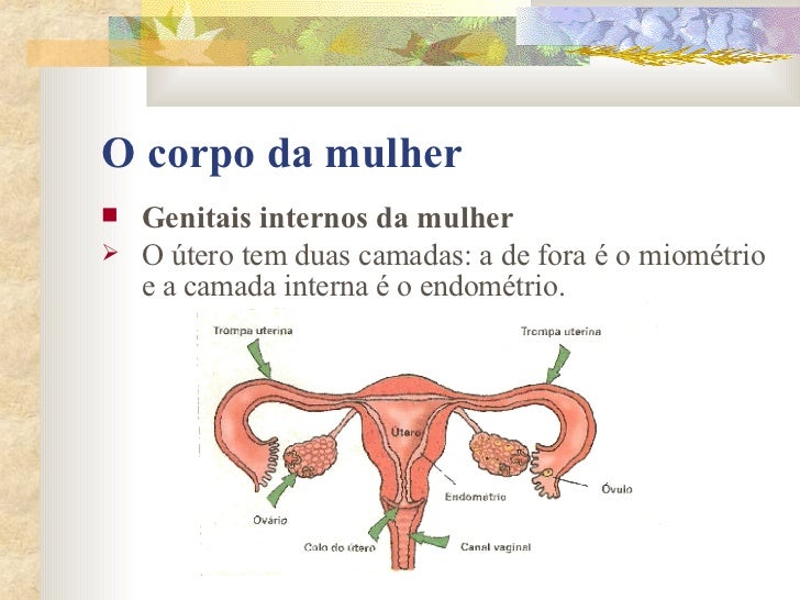 Aumentar um pênis uma pompa de vácuo