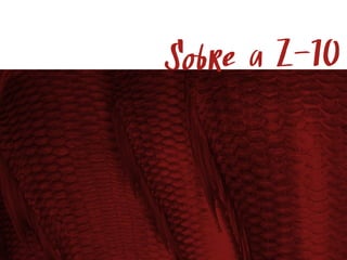 Sobre a Z-10
 