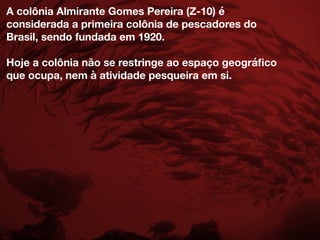 A colônia Almirante Gomes Pereira (Z-10) é
considerada a primeira colônia de pescadores do
Brasil, sendo fundada em 1920.
Hoje a colônia não se restringe ao espaço geográﬁco
que ocupa, nem à atividade pesqueira em si.
 