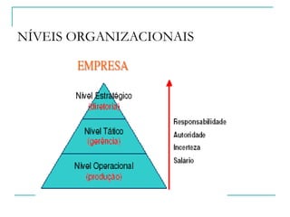 NÍVEIS ORGANIZACIONAIS
NIVEL TÁTICO
 