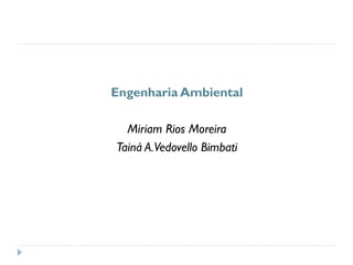 Engenharia Ambiental
Miriam Rios Moreira
Tainá A.Vedovello Bimbati
 