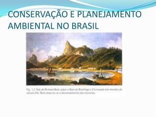 CONSERVAÇÃO E PLANEJAMENTO
AMBIENTAL NO BRASIL
 