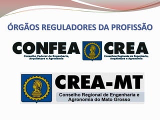 ÓRGÃOS REGULADORES DA PROFISSÃO
 