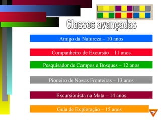 Amigo da Natureza – 10 anos
Companheiro de Excursão – 11 anos
Pesquisador de Campos e Bosques – 12 anos
Pioneiro de Novas Fronteiras – 13 anos
Excursionista na Mata – 14 anos
Guia de Exploração – 15 anos
 