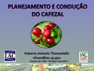 Roberto Antonio Thomaziello [email_address] Centro de Café “Alcides Carvalho” 