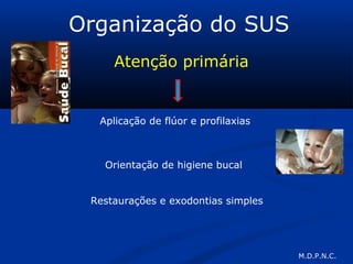 Organização do SUS
Atenção primária
Aplicação de flúor e profilaxias
Orientação de higiene bucal
Restaurações e exodontias simples
M.D.P.N.C.
 