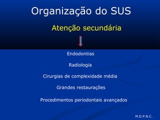 Organização do SUS
Atenção secundária
Endodontias
Radiologia
Cirurgias de complexidade média
Grandes restaurações
Procedimentos periodontais avançados
M.D.P.N.C.
 