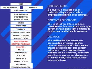 OBJETIVO GERAL 
É o alvo ou a situação que se 
pretende atingir e para onde a 
empresa deve dirigir seus esforços. 
OBJETIVOS FUNCIONAIS 
São os objetivos intermediários, 
relacionados às áreas funcionais, que 
devem ser atingidos com a finalidade 
de alcançar o objetivo da empresa. 
DESAFIOS 
São realizações que devem ser 
continuadamente perseguidas, 
perfeitamente quantificáveis e com 
prazos estabelecidos, que exigem 
esforços extras e representam a 
modificação de situações, bem como 
contribuem para serem alcançadas 
situações desejáveis identificadas 
pelos objetivos. 
Planejamento Estratégico – Prof. Pedro Lacchia 
VISÃO 
OPORTUNIDADES AMEAÇAS 
CONCORRENTES 
PONTOS FRACOS 
PONTOS FORTES 
PONTOS NEUTROS 
MISSÃO 
PROPÓSITOS 
CENÁRIOS 
POSTURA ESTRATÉGICA 
MACROESTRATÉGIAS 
MACROPOLÍTICAS 
OBJETIVO GERAL 
OBJETIVOS FUNCIONAIS 
DESAFIOS e 
METAS 
ESTRATÉGIAS e 
POLÍTICAS 
PROJETOS e 
PLANOS DE AÇÃO 
ORÇAMENTO 
ECONÔMICO-FINANCEIRO 
 