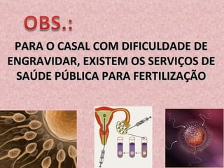 PARA O CASAL COM DIFICULDADE DE ENGRAVIDAR, EXISTEM OS SERVIÇOS DE SAÚDE PÚBLICA PARA FERTILIZAÇÃO 