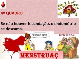 4º QUADRO Se não houver fecundação, o endométrio se descama. MENSTRUAÇÃO 