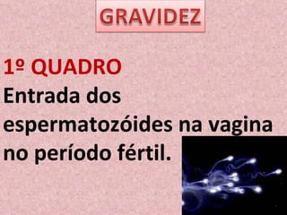 1º QUADRO Entrada dos espermatozóides na vagina no período fértil. 