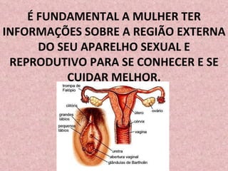 É FUNDAMENTAL A MULHER TER INFORMAÇÕES SOBRE A REGIÃO EXTERNA DO SEU APARELHO SEXUAL E REPRODUTIVO PARA SE CONHECER E SE CUIDAR MELHOR. 