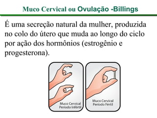 Muco Cervical ou Ovulação -Billings
É uma secreção natural da mulher, produzida
no colo do útero que muda ao longo do ciclo
por ação dos hormônios (estrogênio e
progesterona).
 