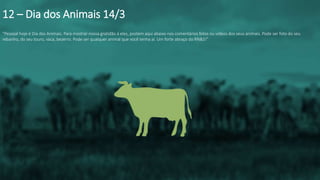 “Pessoal hoje é Dia dos Animais. Para mostrar nossa gratidão á eles, postem aqui abaixo nos comentários fotos ou vídeos dos seus animais. Pode ser foto do seu
rebanho, do seu touro, vaca, bezerro. Pode ser qualquer animal que você tenha aí. Um forte abraço do RN&S!”
12 – Dia dos Animais 14/3
 