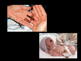 Planejamento noivos1