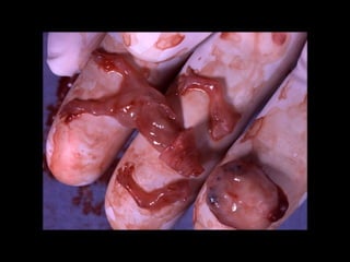 Planejamento noivos1