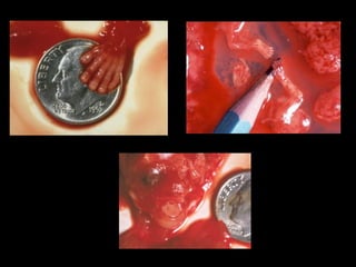 Planejamento noivos1