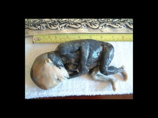 Planejamento noivos1