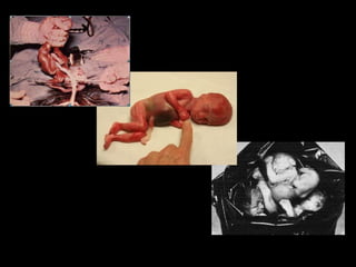 Planejamento noivos1