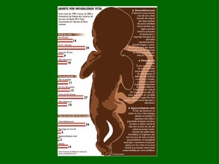 Planejamento noivos1