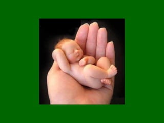 Planejamento noivos1