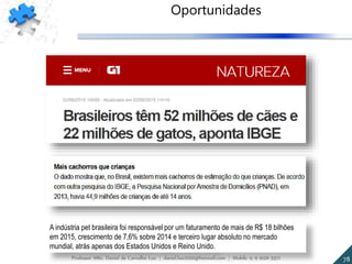 A indústria pet brasileira foi responsável por um faturamento de mais de R$ 18 bilhões
em 2015, crescimento de 7,6% sobre 2014 e terceiro lugar absoluto no mercado
mundial, atrás apenas dos Estados Unidos e Reino Unido.
78Professor MSc. Daniel de Carvalho Luz | daniel.luz2020@hotmail.com | Mobile 15 9 9126 5571
Oportunidades
 