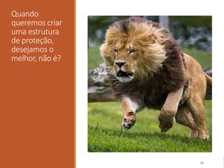 Quando
queremos criar
uma estrutura
de proteção,
desejamos o
melhor, não é?
66
 