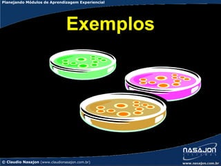 Planejando Módulos de Aprendizagem Experiencial




                                Exemplos




© Claudio Nasajon (www.claudionasajon.com.br)
 